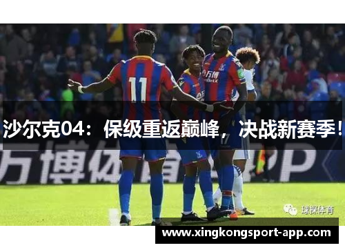 沙尔克04：保级重返巅峰，决战新赛季！