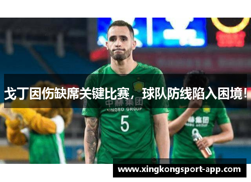 戈丁因伤缺席关键比赛，球队防线陷入困境！